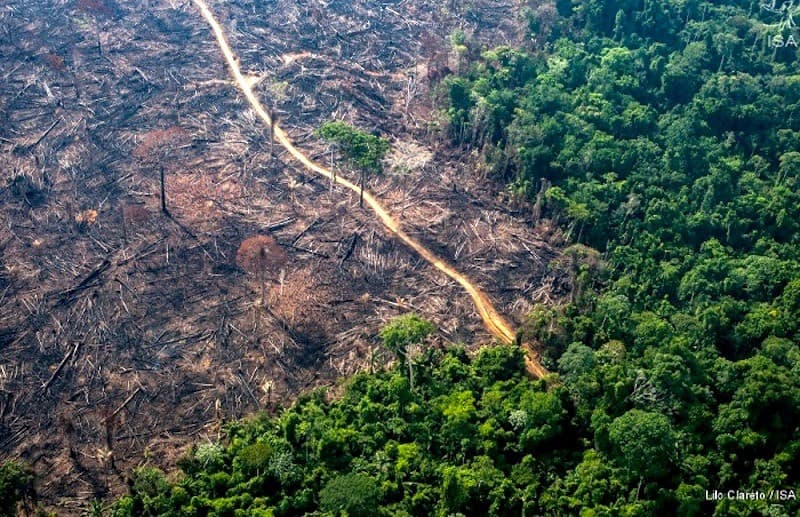 Área desmatada ao lado de uma área preservada de Mata Atlântica