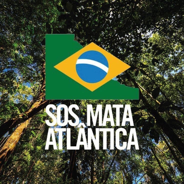 Identidade visual da SOS Mata Atlântica sobreposta a uma fotografia de dossel florestal